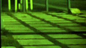 that extreme bdsm milf domination hits hard unless you're digging sixties earth vibes