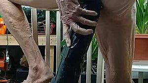 Daniela Deep crams 20-inch black dildo up her huge ass