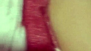 my young bull wakes me for rough fuck since cuckold hubby left early