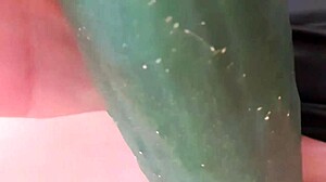 hot legs spread shaved pussy cucumber fuck squirt delight