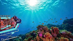 Narlinda bound underwater endures intense spanking bondage