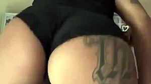 hey brazil, ever dreamed of wild brazilian adventures?