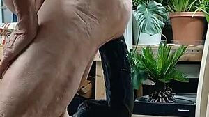 Daniela Deep crams 20-inch black dildo up her huge ass