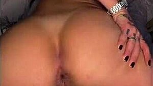 novinho's massive pauzao pirocao pounds tight ass in full xvideos video call