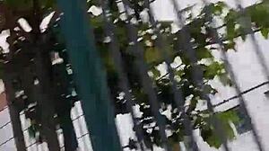 i crave that big monster cock licking it all day