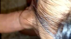 Kitchen closeup shemale anal after cock sucking surprise