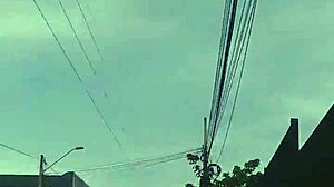 i crave that big monster cock licking it all day