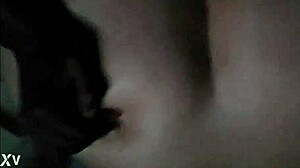 bbc destroys fat bbw's holes?