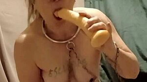 She plays humiliated french slave in homemade solo session with uro play and belt whacks on november 17th 2025