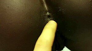 ebony's perfect black asshole owns the competition over white asses