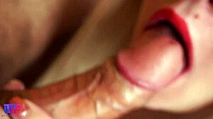 Amateur Sucks Cock Close-Up Till Cumshot