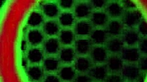 Pov Mania: Sensual Milf Rides Cock with Big Tits