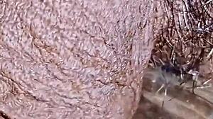 Micro Penis Sissy Pisses in Toilet Dorm Outdoor Skirt Flashing Spots