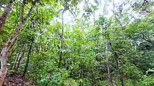 thai girl hiking forest stops for outdoor fuck before mushrooms