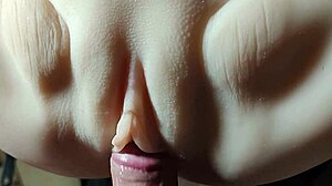 insertion feels so damn comfy inside