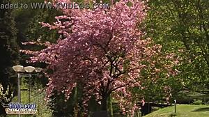 Playful teen tempts grandpa into steamy ride before tasting his release