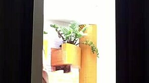 hotwife shakes cumming on bbc right in front of cuck after pool!