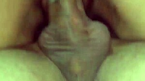 Neighbor Sneaks In To Stretch Stepmom's Tight Vagina With Rough Passion