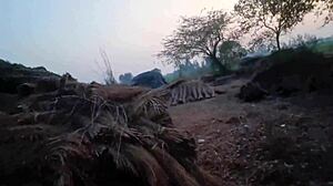 gf's tight pussy gets outdoor pounding in jungle hut desi cowgirl ride