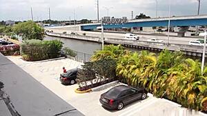 Coco Blue bierze wielkiego czarnego kutasa na pieska i kowbojkę na Cinco de Mayo