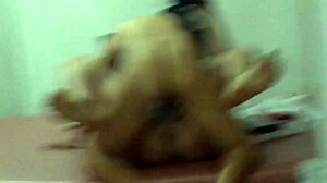 waiting for the bull but hubby and i fucked hard instead