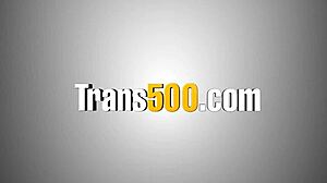 submissive shemale discovers pure bliss in relentless monster cock anal pounding