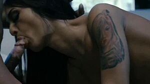 ts babe craves her man's thick bbc bareback pounding deep 😍🍑🔥