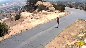 chelsie rae and lela star ride fat dildos up asses then suck clean