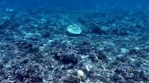 wanna see this beauty hype her massive dildo skills?