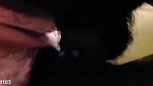 Tiny Hood Stripper Bii Ripped Clothes Monster BBC Pound!