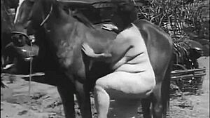 dark lantern vintage nature girls retro outdoor hairy tits