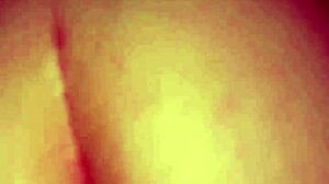 Ariadne Maia rocks hardcore doggy compilation with rough orgasms