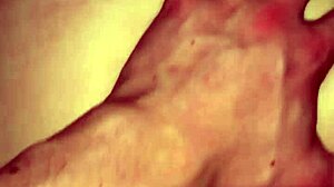 Ariadne Maia rocks hardcore doggy compilation with rough orgasms