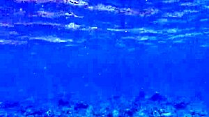 wanna see this beauty hype her massive dildo skills?