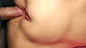 shaved fat pussy spreads wide for close-up toy anal play