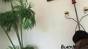 9 inch bbc fucks fat ebony rough anal deepthroat sloppy
