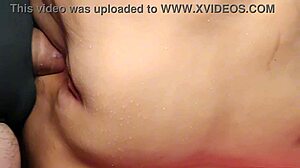 shaved fat pussy spreads wide for close-up toy anal play