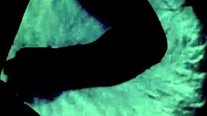 Vintage orgy reveals double penetration hairy pussy group fucking