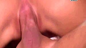 hey stief cousin, fick mit mir beim familientreffen hart!