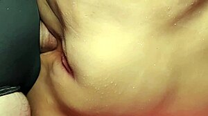 shaved fat pussy spreads wide for close-up toy anal play