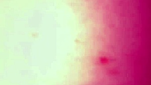 Ariadne Maia rocks hardcore doggy compilation with rough orgasms