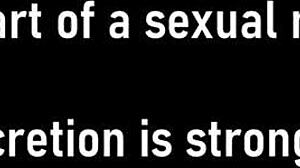 what's really going on with michelle anderson backstage