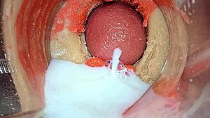 cumming hard on your huge cock close-up inside my juicy squirting wet pussy asmr 4k