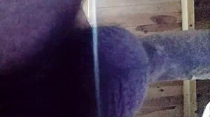 curvy latina amateur mature tattoos fat ass homemade crazy foder