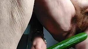Granny Fucks Hairy Pussy with Cucumber!