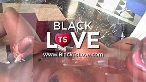 watch this big black shemale cock get slurped deep