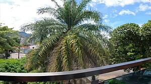 i haven't seen stepsis so long squeezing her white booty now