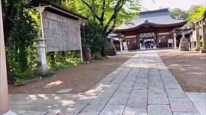 i'm lovin' this tokyo strawberry hot spring trip with nachi...