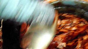 Epic chocolate wrestling olympics! 🍫🥊