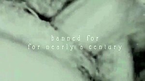 dark lantern's vintage threesome spills erotic victorian confessions...